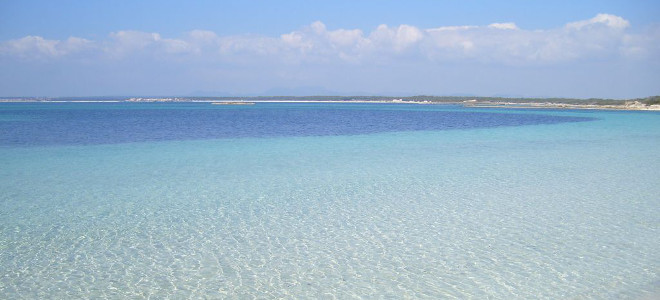 Maiorca